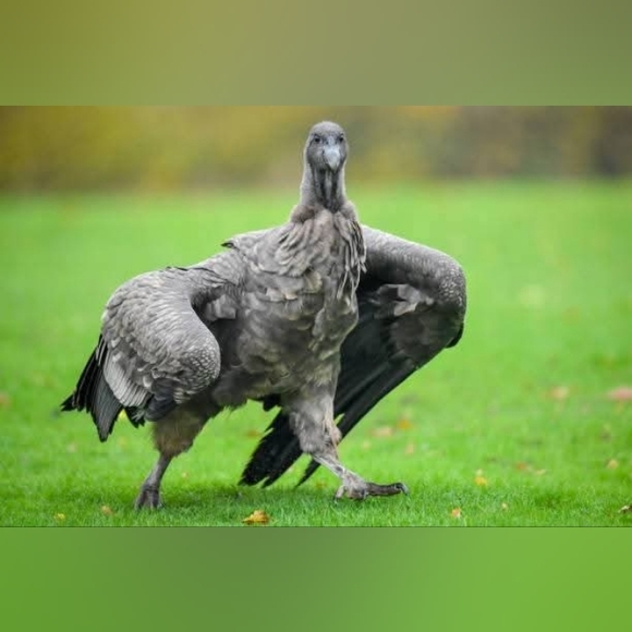 Info 😁 - Picture 7 of 7